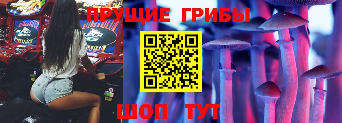Галлюциногенные грибы Psilocybine cubensis Сибай