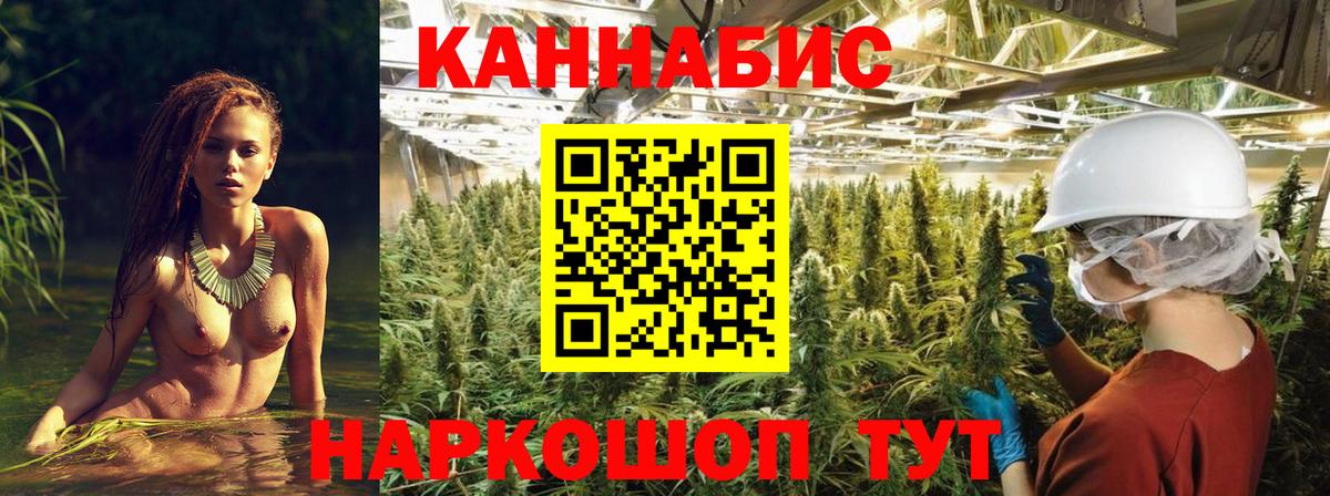 Канабис White Widow  Конопля VHQ  Вход с VPN  Сибай  Бошки марихуана Amnesia  Шишки марихуана планчик 